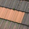 Roof tinting 1.jpg